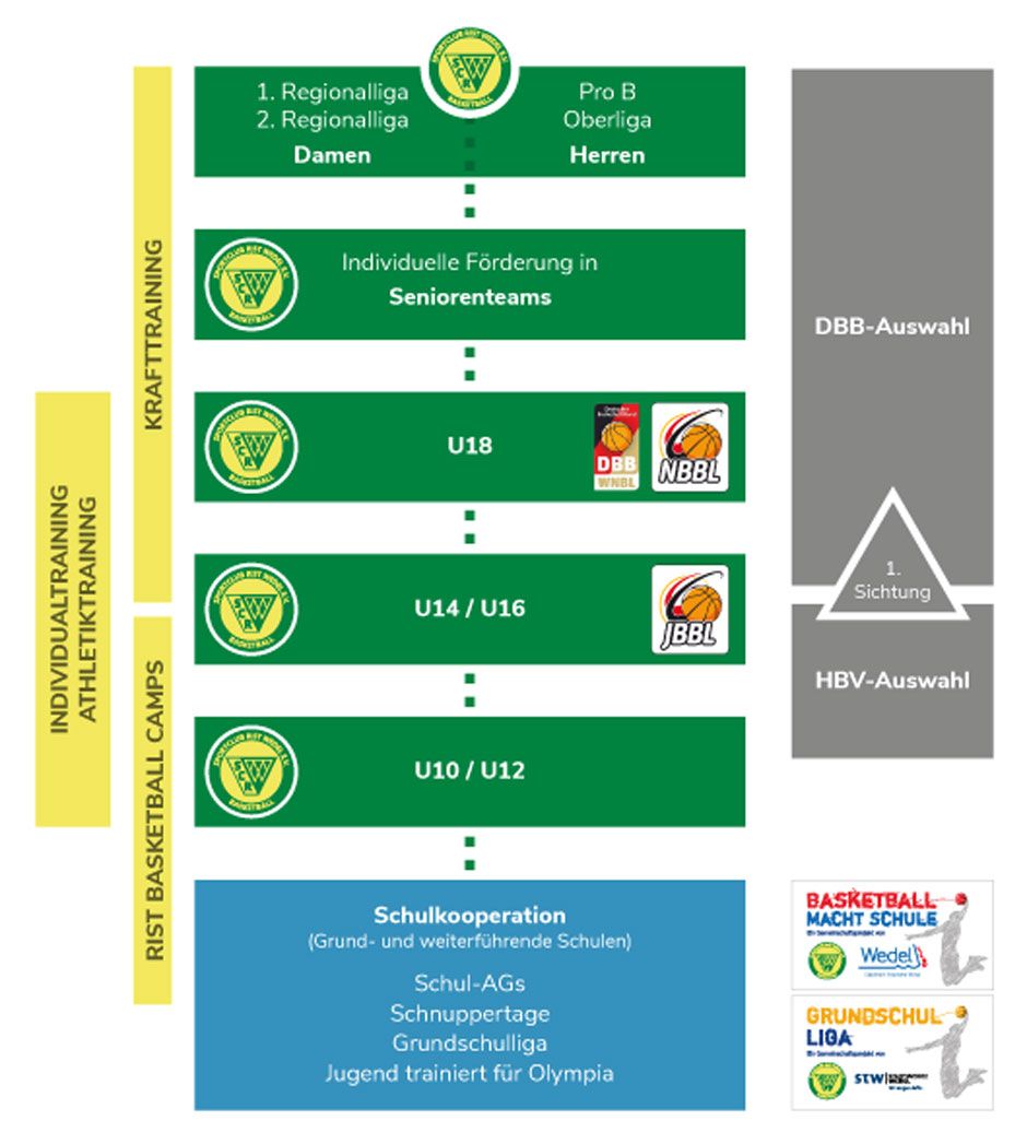 Breitensport und Leistungssport -Die Teamstruktur im Überblick